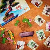 gra planszowa Bonsai: Bujny wzrost i Eksperci
