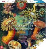 puzzle Puzzle Stworzenia morskie, Ernst Haeckel (1000 elementów)