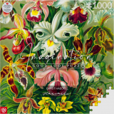 puzzle Puzzle Ernst Haeckel: Orchidea / Orchid (1000 elementw)