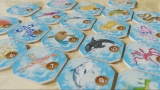 Shallow Sea - Sezon L�gowy